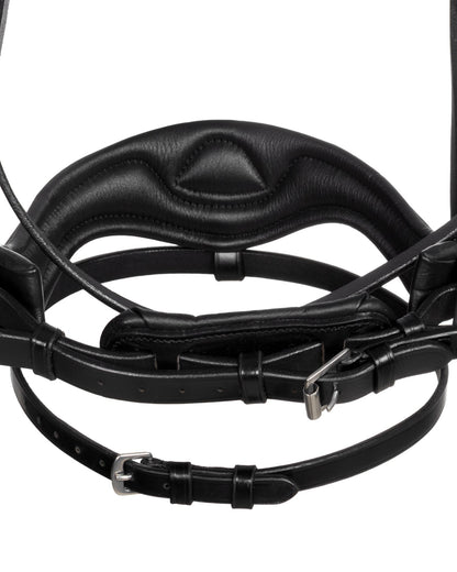Acavallo Moulin Rouge Calfskin Bridle Black