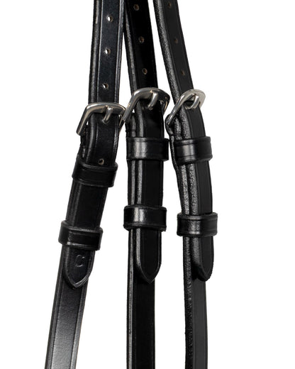 Acavallo Moulin Rouge Calfskin Bridle Black
