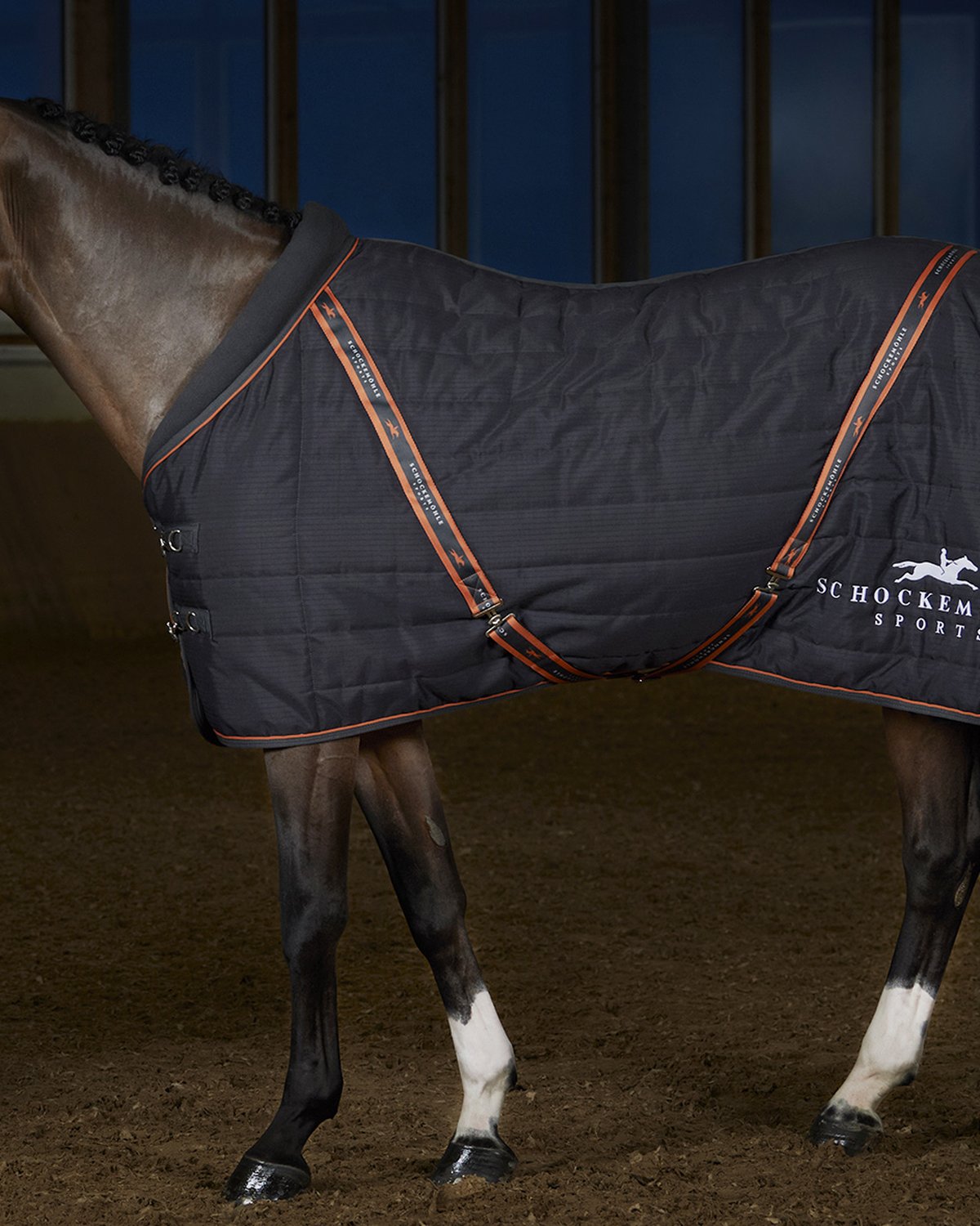Horse wearing a SCHOCKEMOHLE NEW ALLTIME 40 DARK NAVY stable rug. Stylish and protective horse blanket from Equiflair.