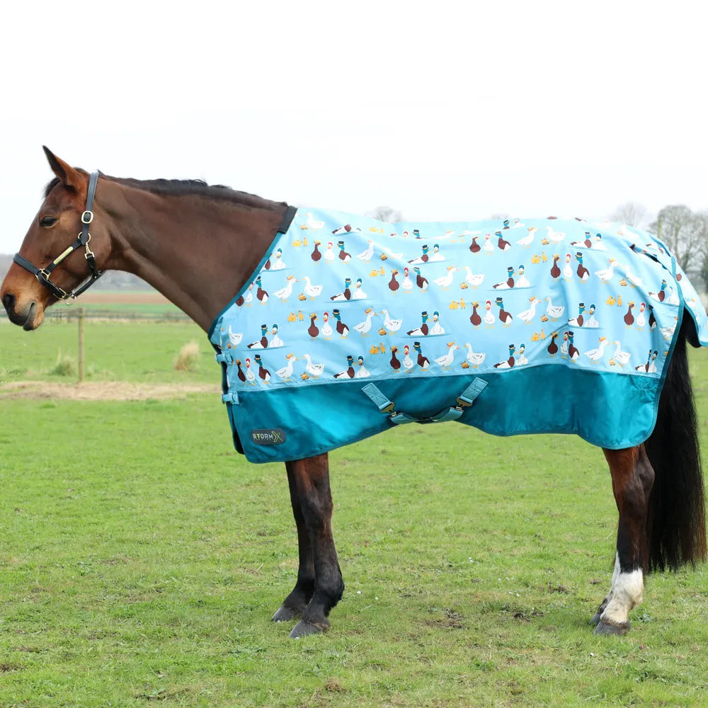 Horse Wearing STORMX Ay Up Duck Turnout Rug - Waterproof Protection, Equiflair