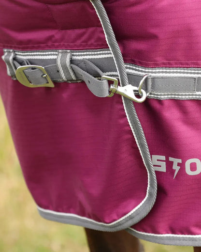 STORMX EMPRA 200 Purple Horse Turnout Rug - Mediumweight, Waterproof, with Integrated Neck Cover