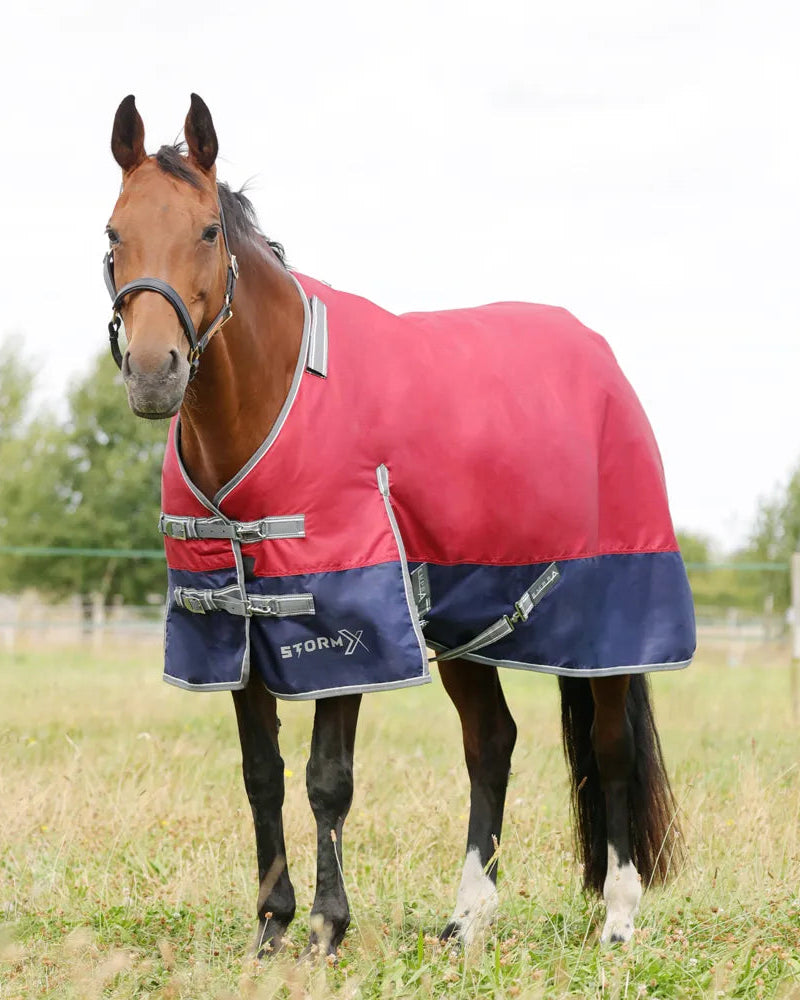 Horse in StormX Empra Turnout Rug - Burgundy, Waterproof with Detachable Neck