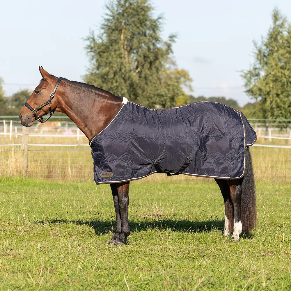 STORMX Empra Luxury Show Rug - Navy/Cream. Horse wearing navy and cream show rug. Equiflair.