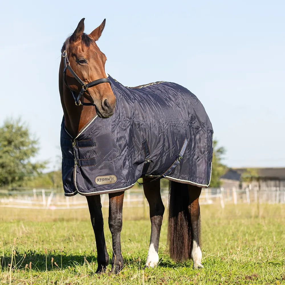 STORMX EMPRA Luxury Show Rug - Navy/Cream Horse Rug. Comfortable & Stylish. Equiflair. Horse in Field.
