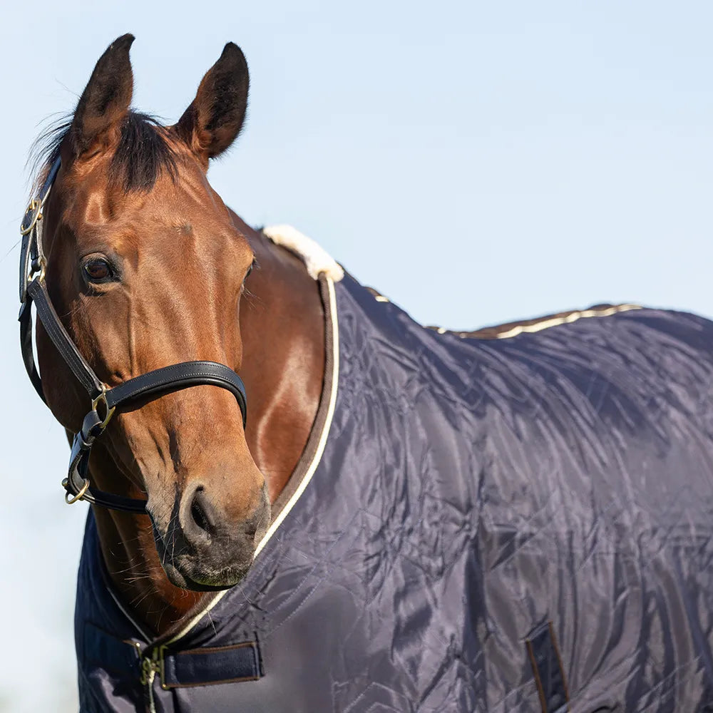 Stormx Empra Luxury Show Rug - Navy/Cream Horse Blanket | Equiflair