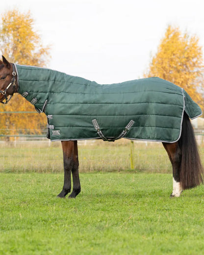 Horse in Green StormX Empra 300 Stable Rug with Neck Cover - Equiflair