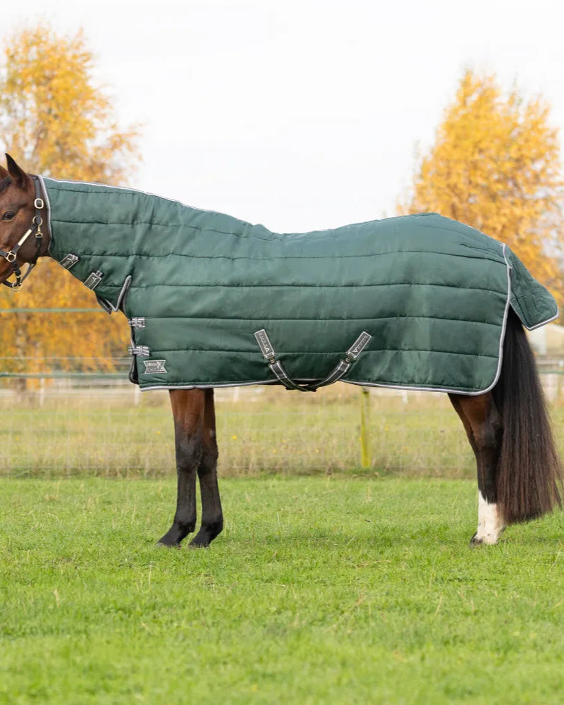 Horse in Green StormX Empra 300 Stable Rug with Neck Cover - Equiflair