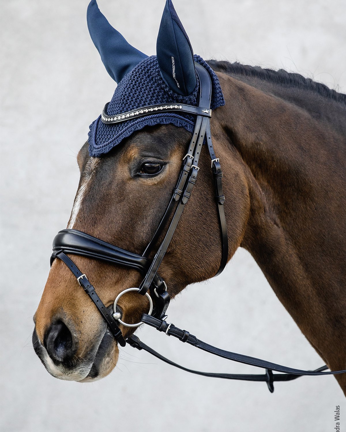 Schockemohle Air Silent Fly Veil Navy