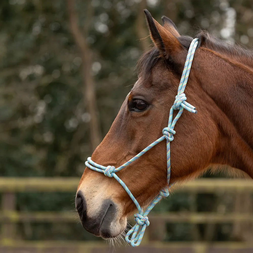 Hy Equestrian Rope Halter - Thick - Black