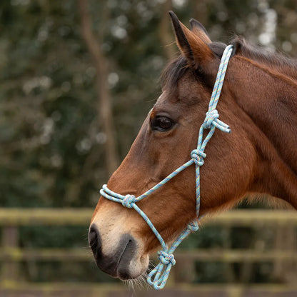 Hy Equestrian Rope Halter - Thick - Black