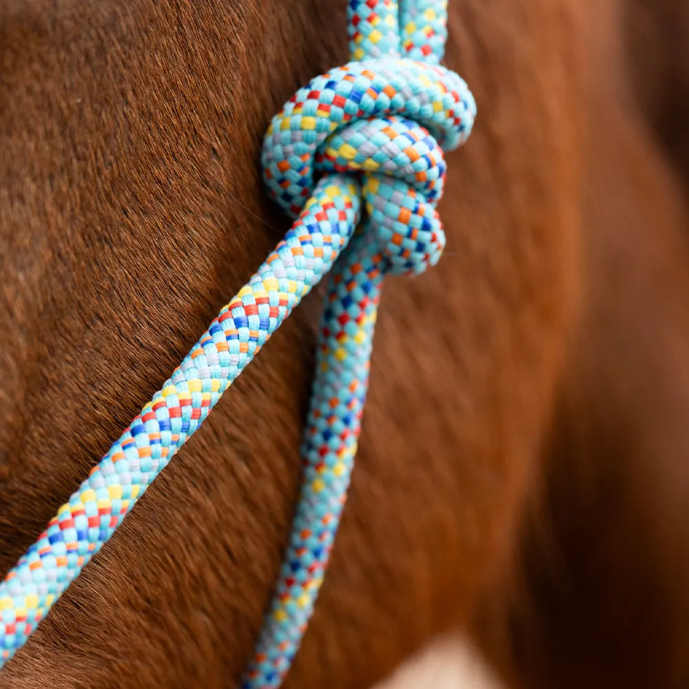 Hy Equestrian Rope Halter - Thick - Black