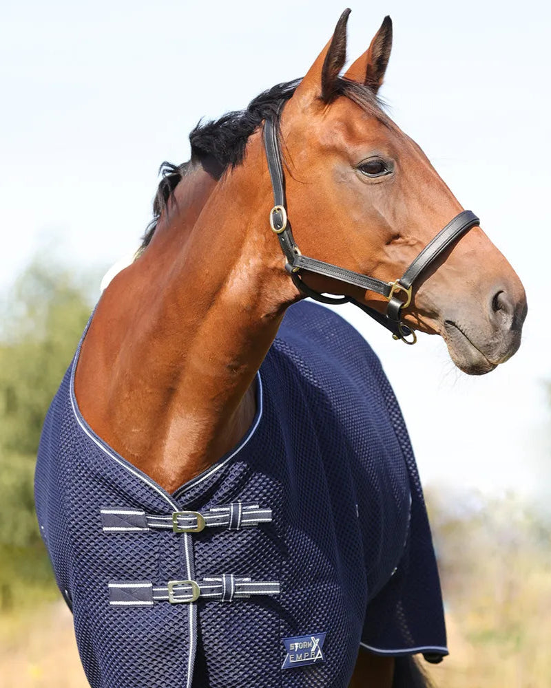 Horse in StormX Empra AirFlex 3D Rug - Navy. Breathable Mesh Horse Rug for travel, bathing, & after exercise. Buy Now at Equiflair!
