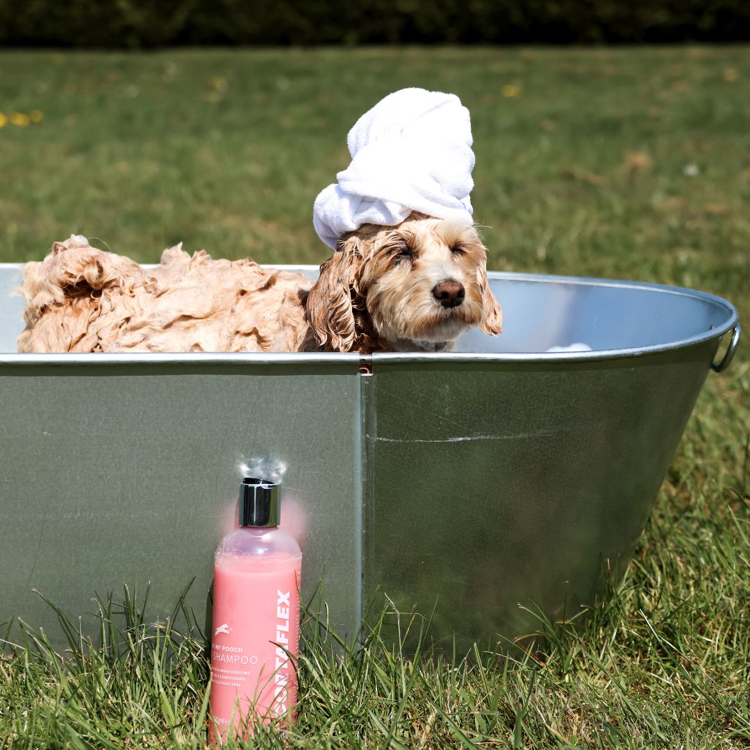 Equine America Pink My Pooch Fruity Berry Dog Shampoo 16.9 oz for a soft, glossy coat.