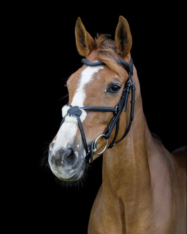 Black Leather Horse Bridle - Anatomical Grackle Bridle by Equiflair for Comfort & Control