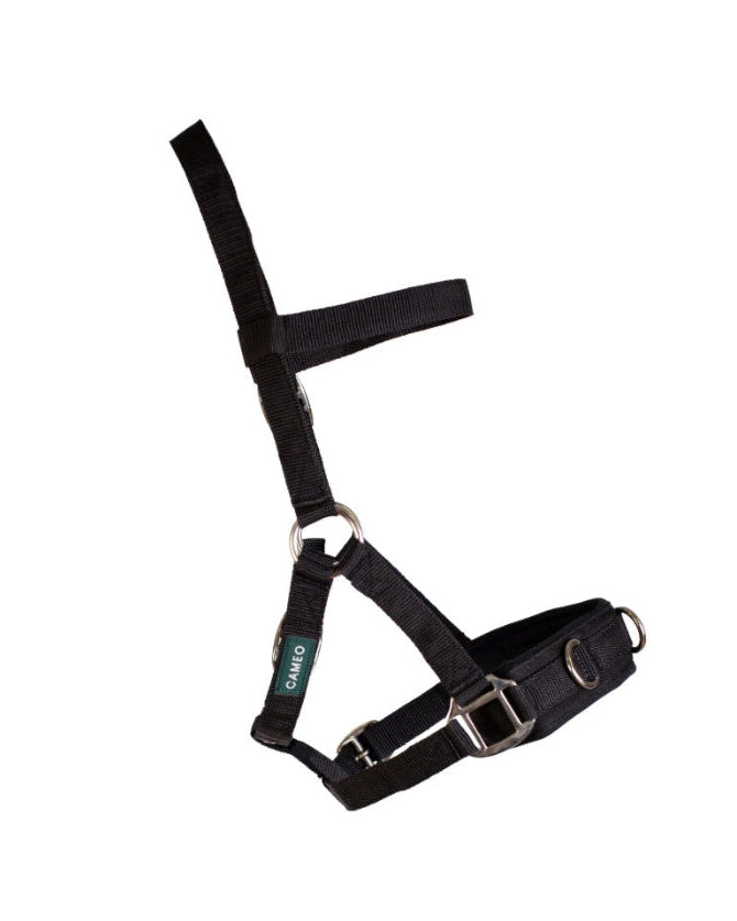 Cameo Lunge Cavesson - location-109746323830-outofstock location-31143526467-outofstock Cob