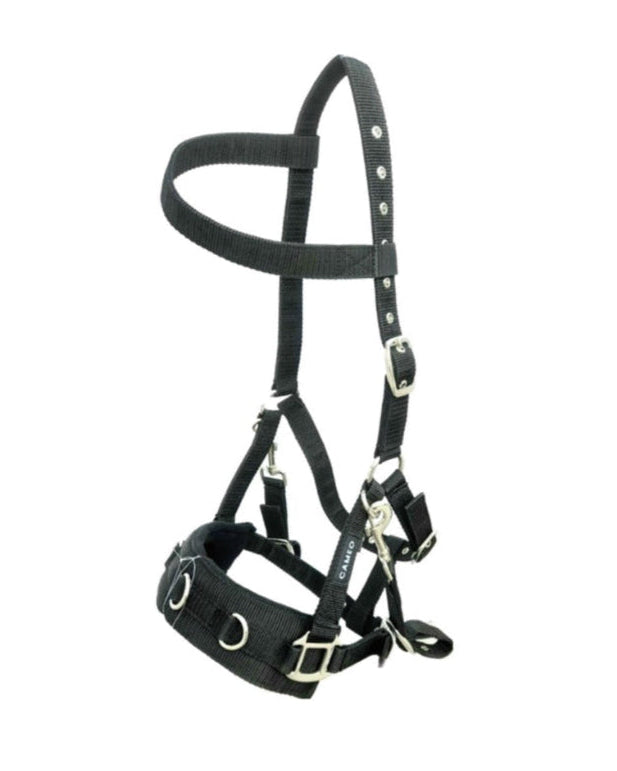 CAMEO Professional Lunge Cavesson for Horse Training - Equiflair