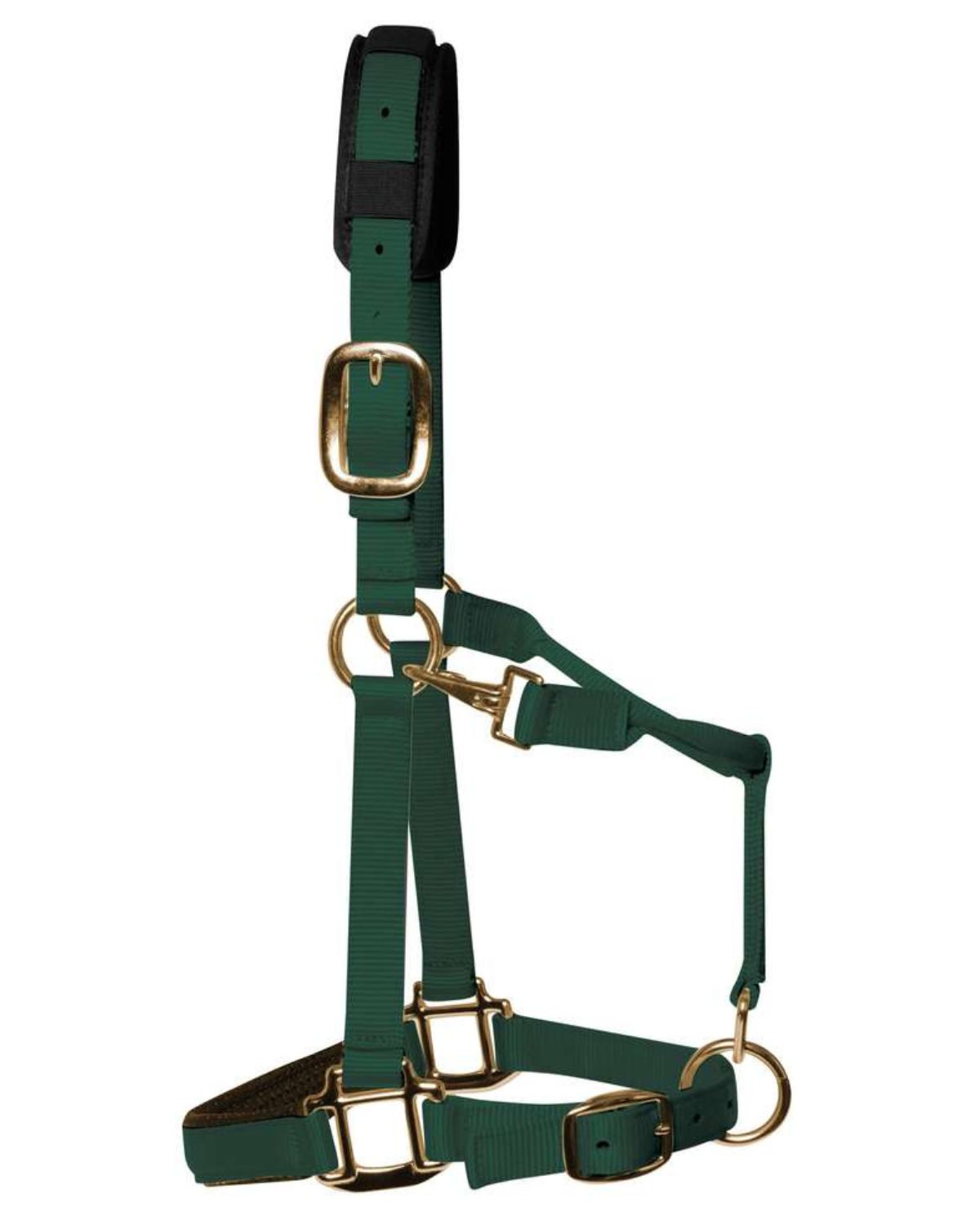 KM Elite Padded Headcollar Hunter Green