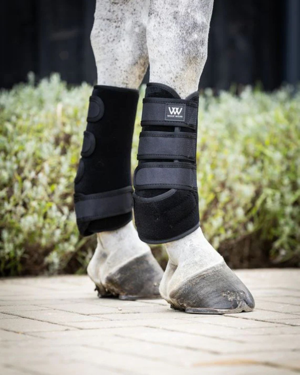 Woof Wear Training Wrap Black