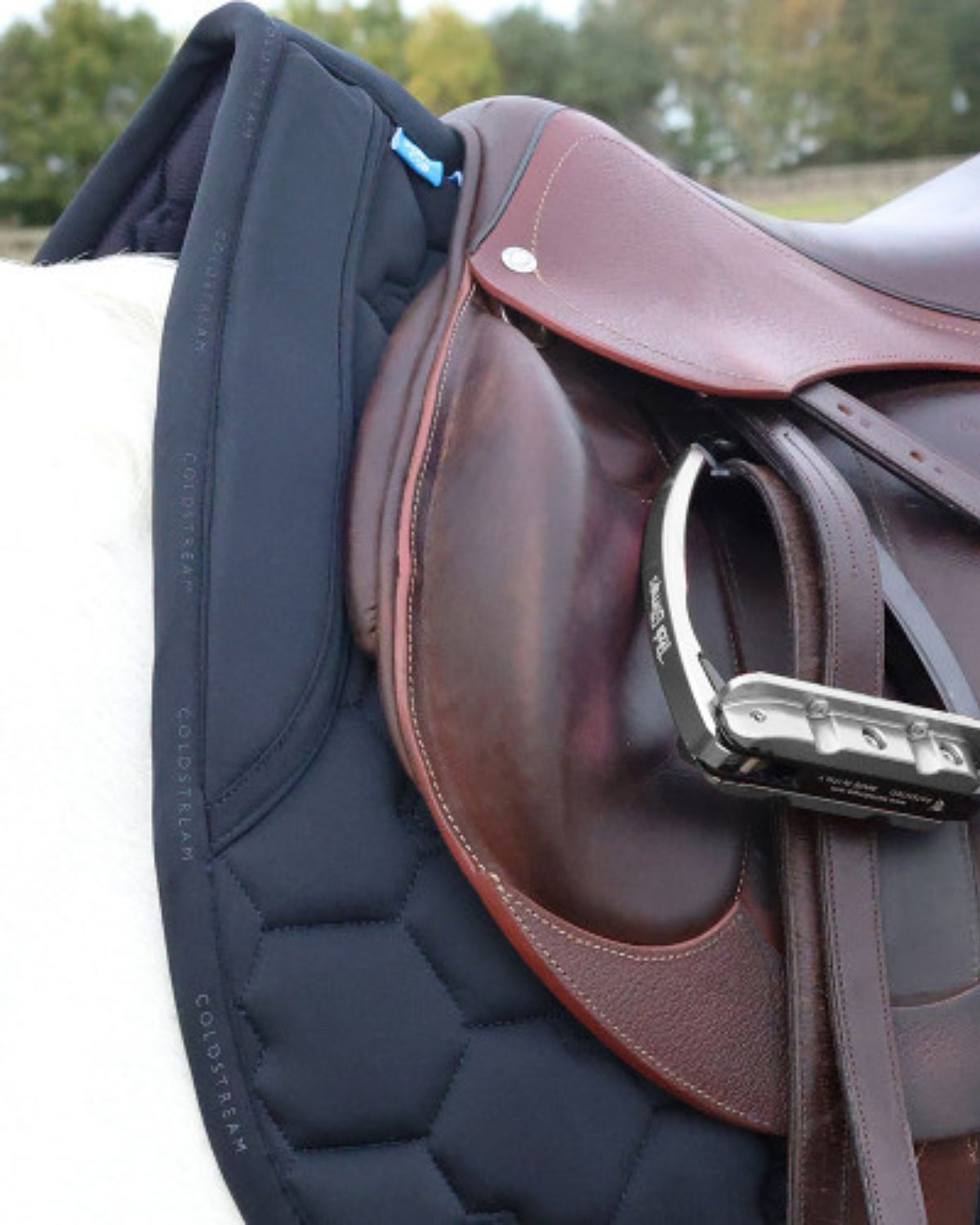 COLDSTREAM WHITSOME NAVY Saddle Pad on horse: Premium equestrian comfort from Equiflair, competition style