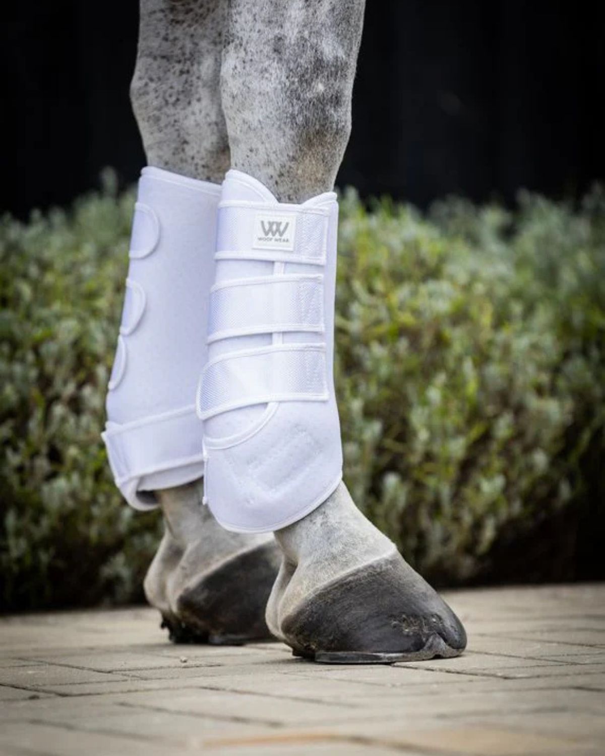 Woof Wear Training Wrap White