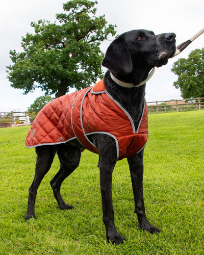 Ancol Heritage Quilted Dog Coat Terracotta
