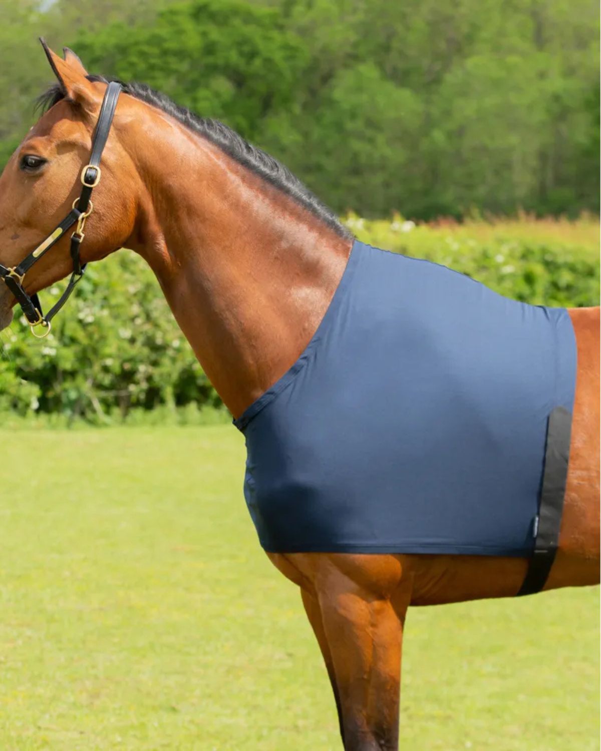 Horse Shoulder Vest: LYCRA Flex - Navy - Equine Comfort & Rug Protection | Equiflair