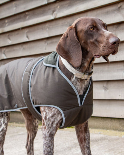 Ancol Heritage Wax Cotton Dog Coat