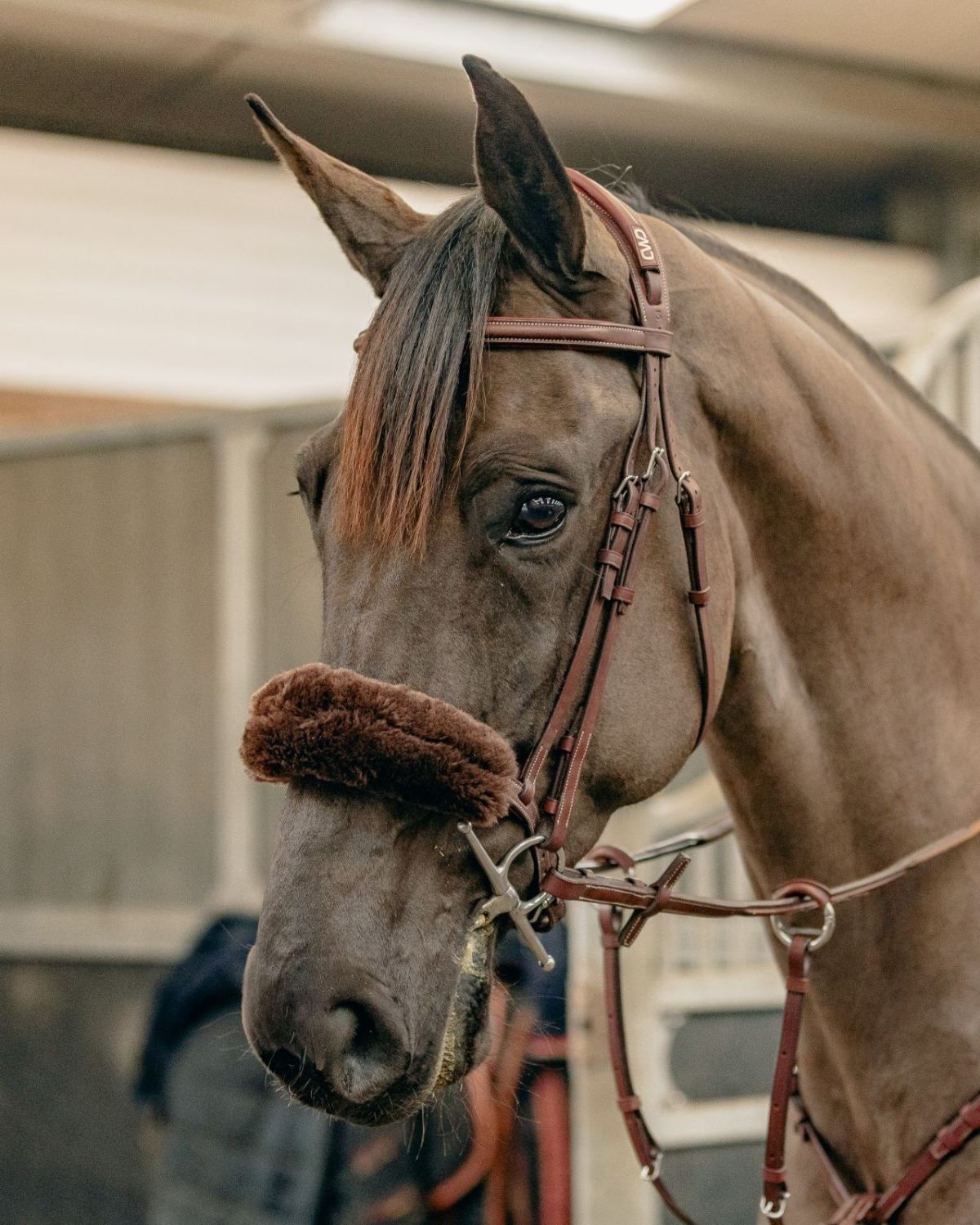 KM Elite Teddy Soft Noseband Cover Mocha