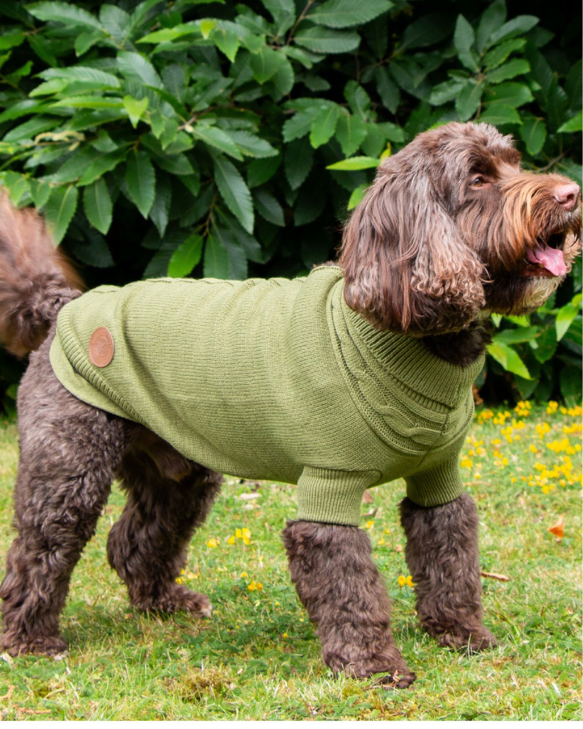 Ancol Cable Knit Jumper Green Dog Coat