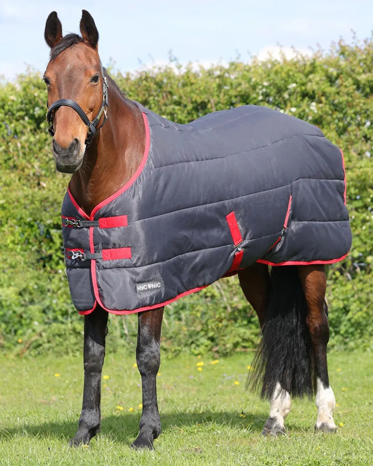 HyCONIC 100g Stable Rug Charcoal /Red