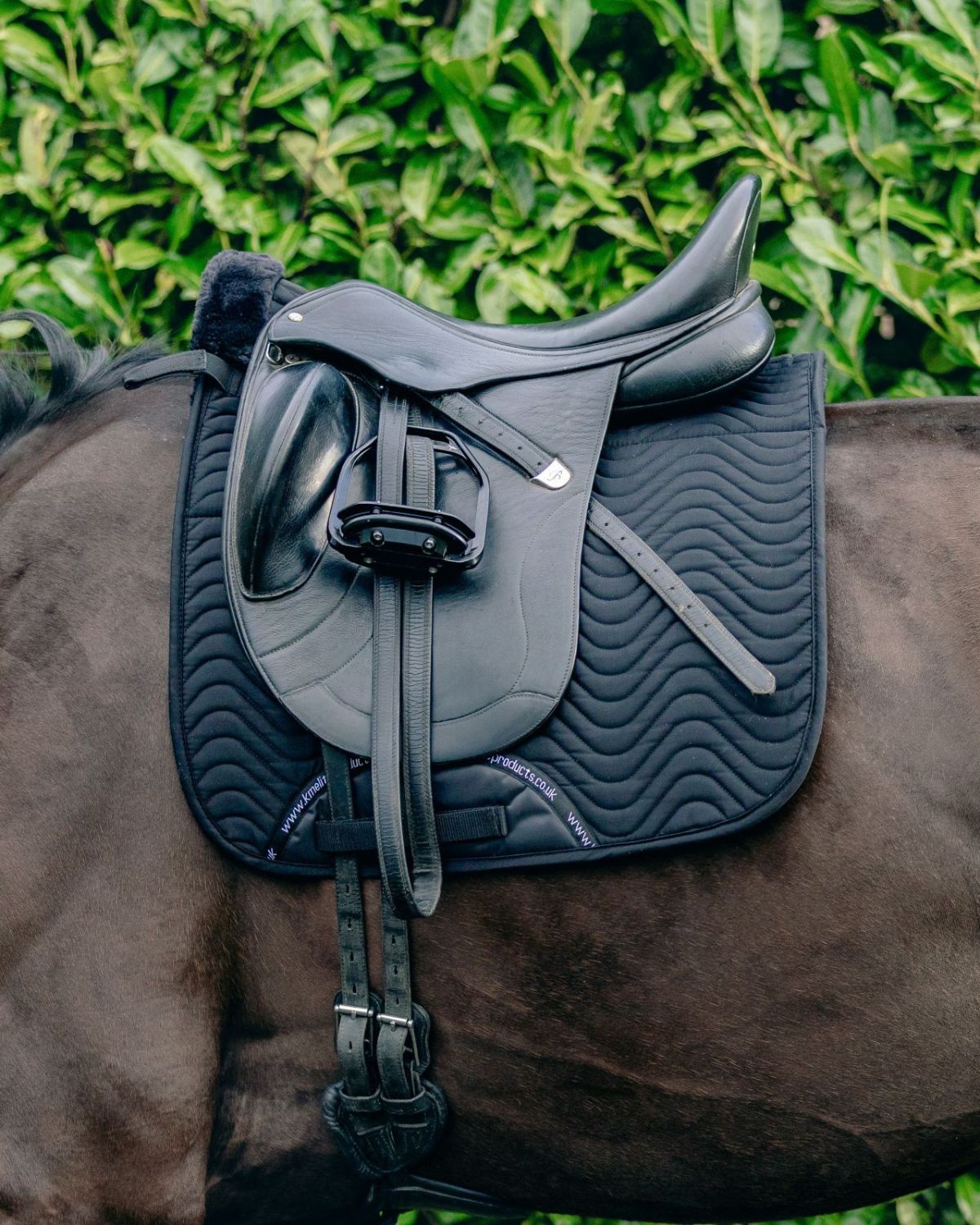 KM Elite Teddy Soft Half Lined Dressage Square Black