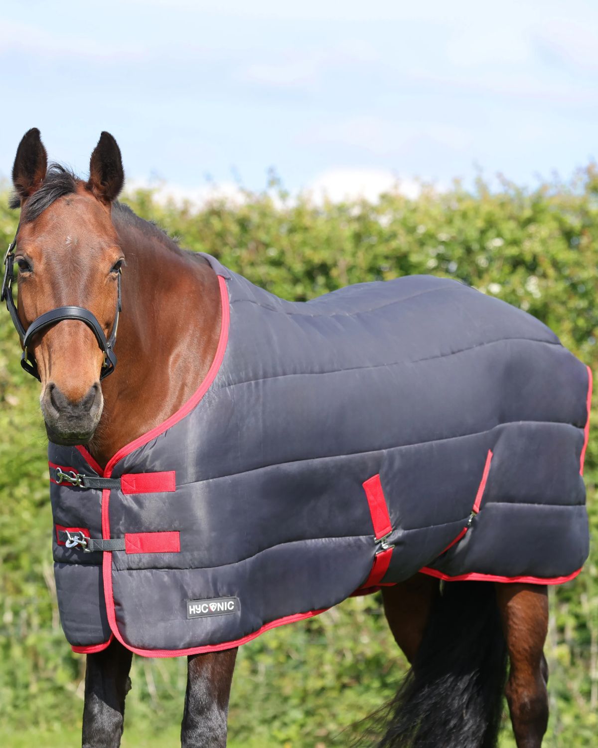 HYCONIC 250G Stable Rug Charcoal/Red on Brown Horse: Heavyweight Quilted Winter Rug for Horses from Equiflair