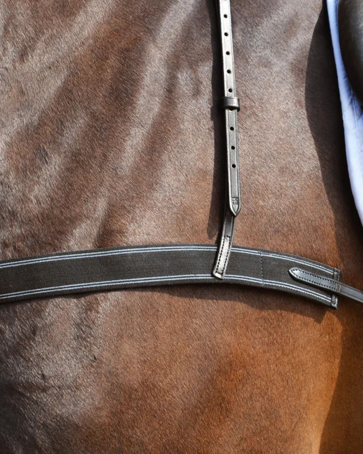 Hy Equestrian Elastic Breastgirth Brown