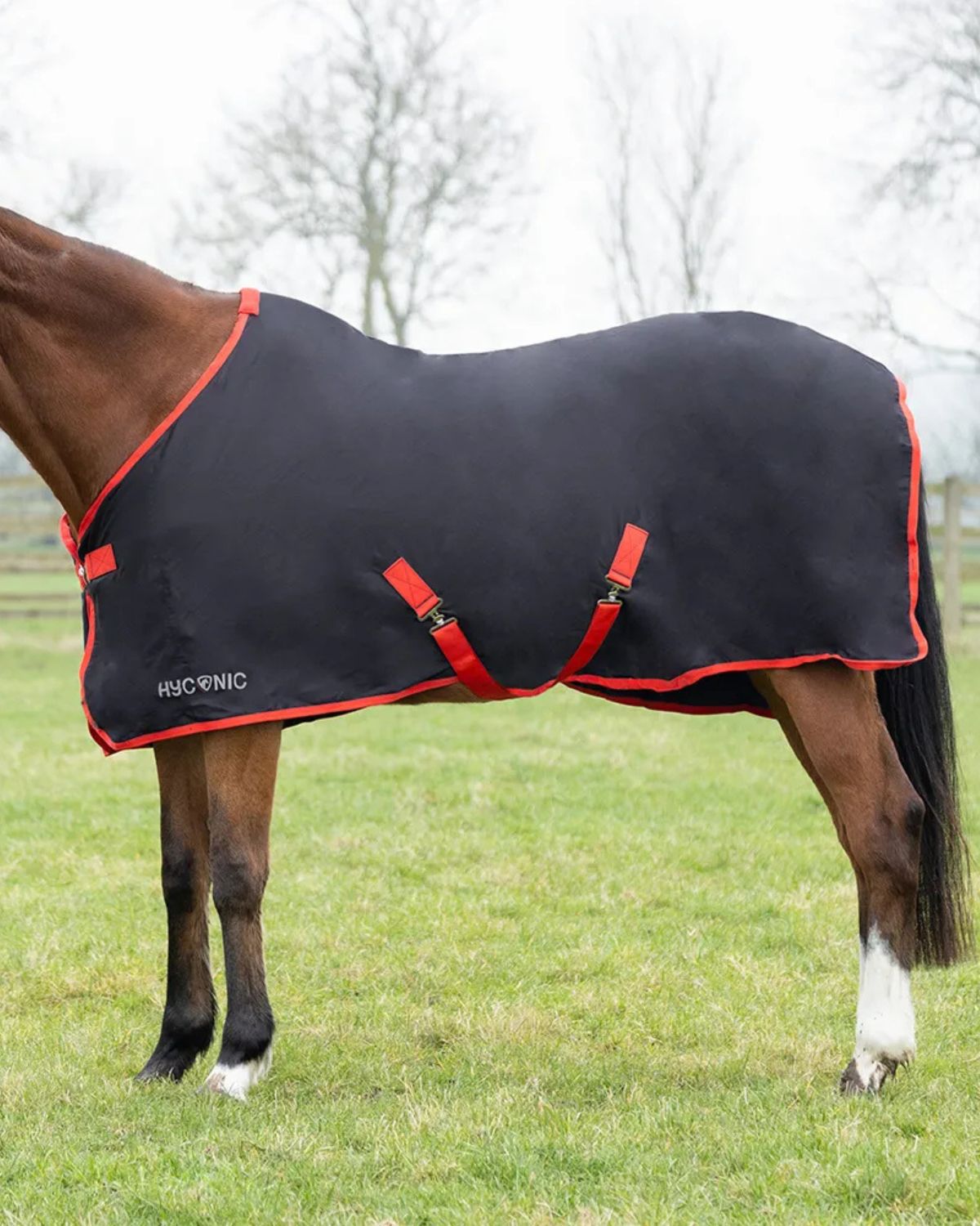 HYCONIC Summer Sheet: Charcoal & Red Horse Blanket. Lightweight Protection for Your Horse - Equiflair