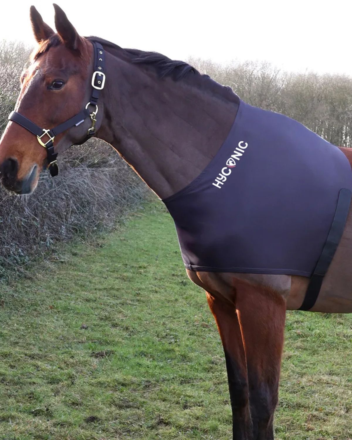 HYCONIC Lycra Shoulder Vest in Charcoal for Horses - Equiflair: Anti-Rub Protection & Comfortable Fit
