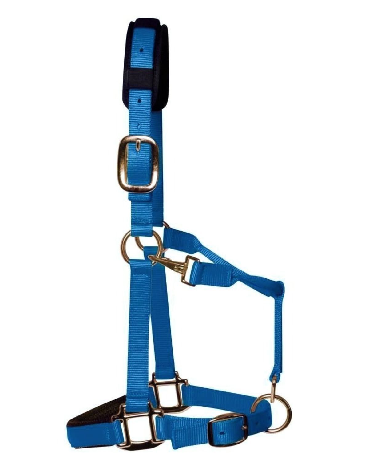 KM Elite Padded Headcollar Teal Blue