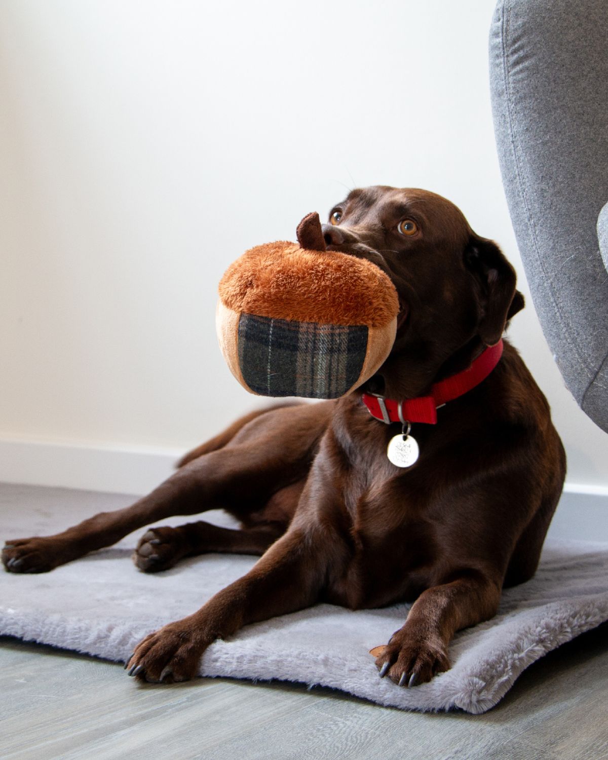 Ancol Heritage Annie Acorn Dog Toy