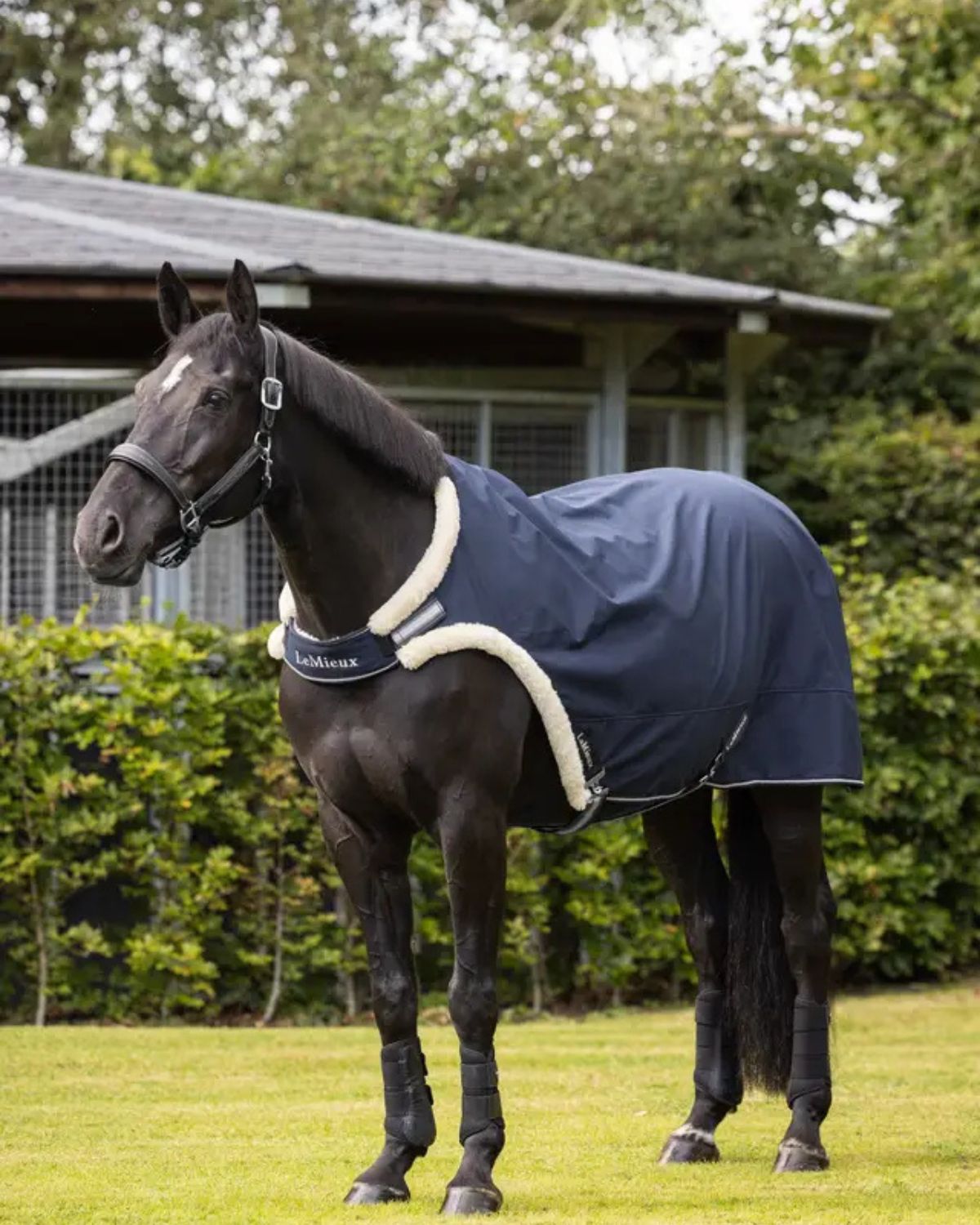 LeMieux Walker Rug Navy | Horse Rug | Equiflair - Softshell water-resistant rug for horses, shown on a horse
