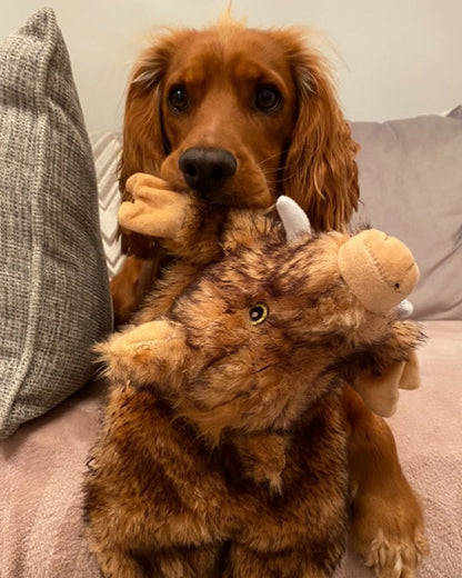 Ancol Heritage Huge Hog Dog Toy