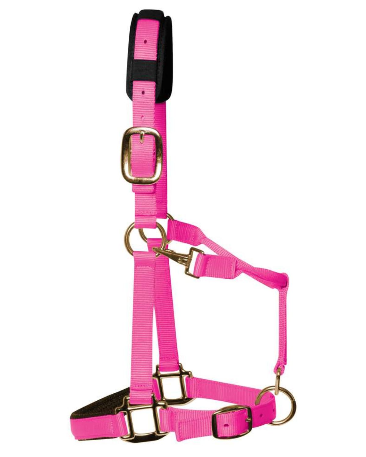KM Elite Padded Headcollar Hot Pink