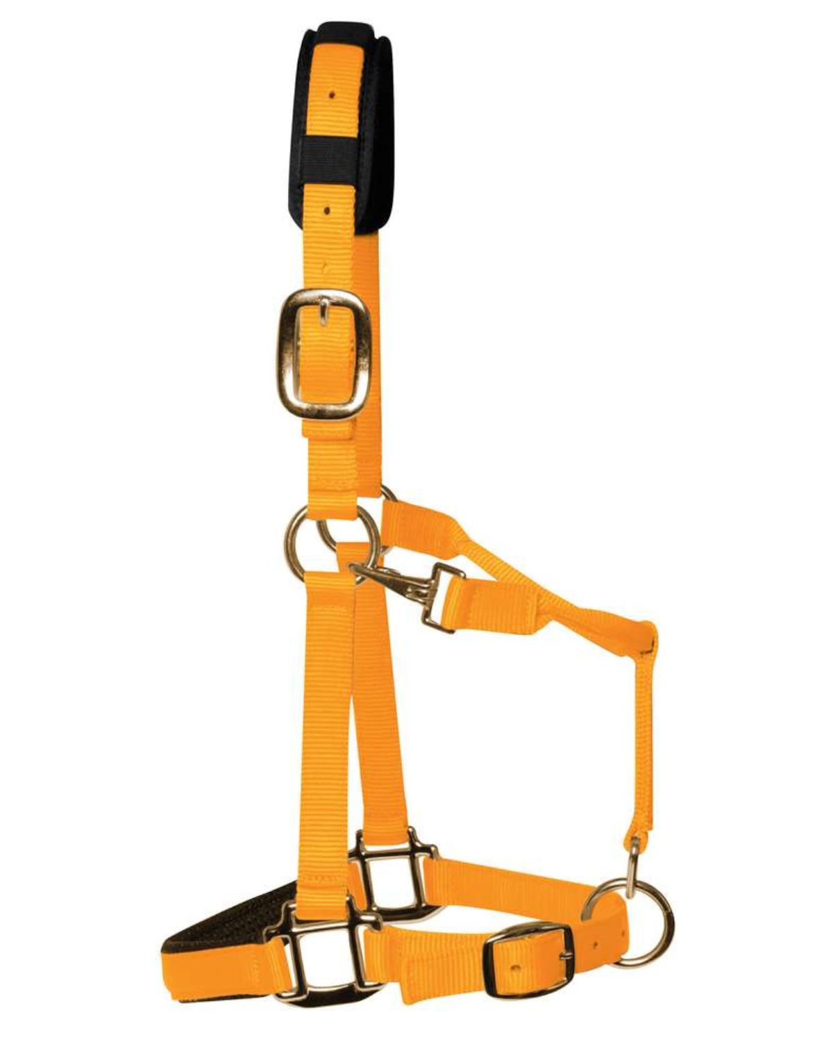 KM Elite Padded Headcollar Orange