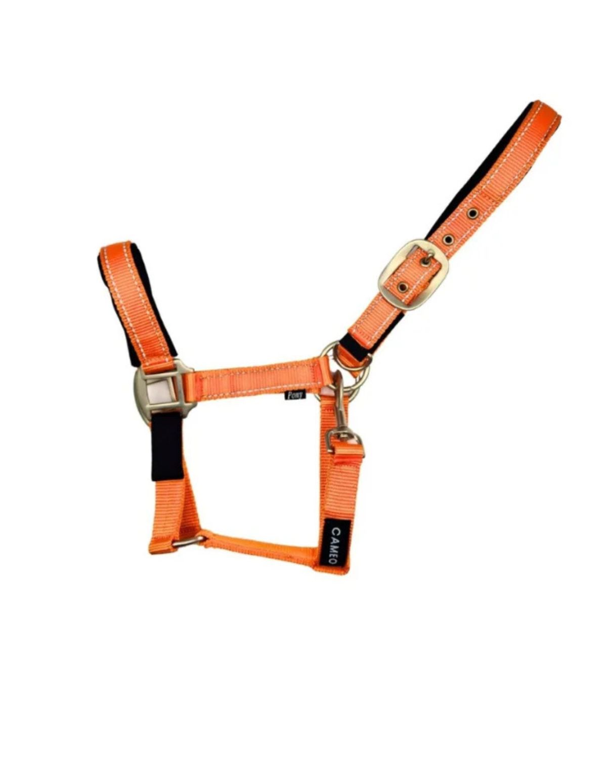 CAMEO Orange Reflective Safety Horse Headcollar | Fieldsafe Headcollar for Horses | Equiflair