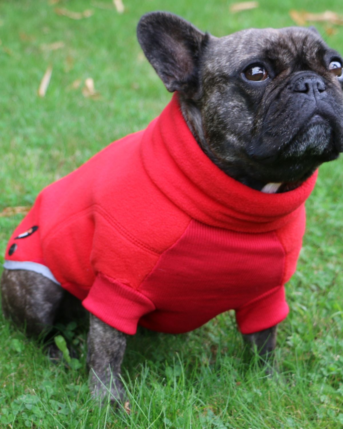 Ancol Polar Fleece Red Dog Coat