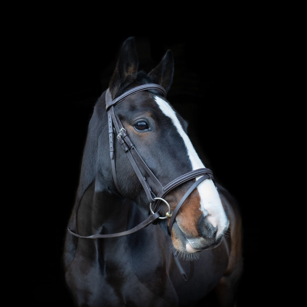 Brown Anatomic Comfort Bridle - Padded Headpiece, Suregrip Reins, Flash Included | Equiflair