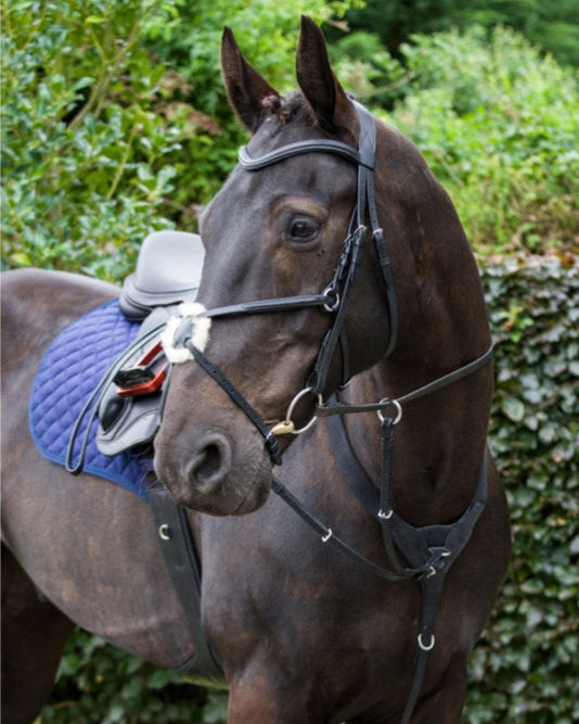 CAMEO PERFORMANCE ELASTICATED BREASTPLATE BROWN: Soft leather horse breastplate with elastic, padding & martingale attachment. Equiflair