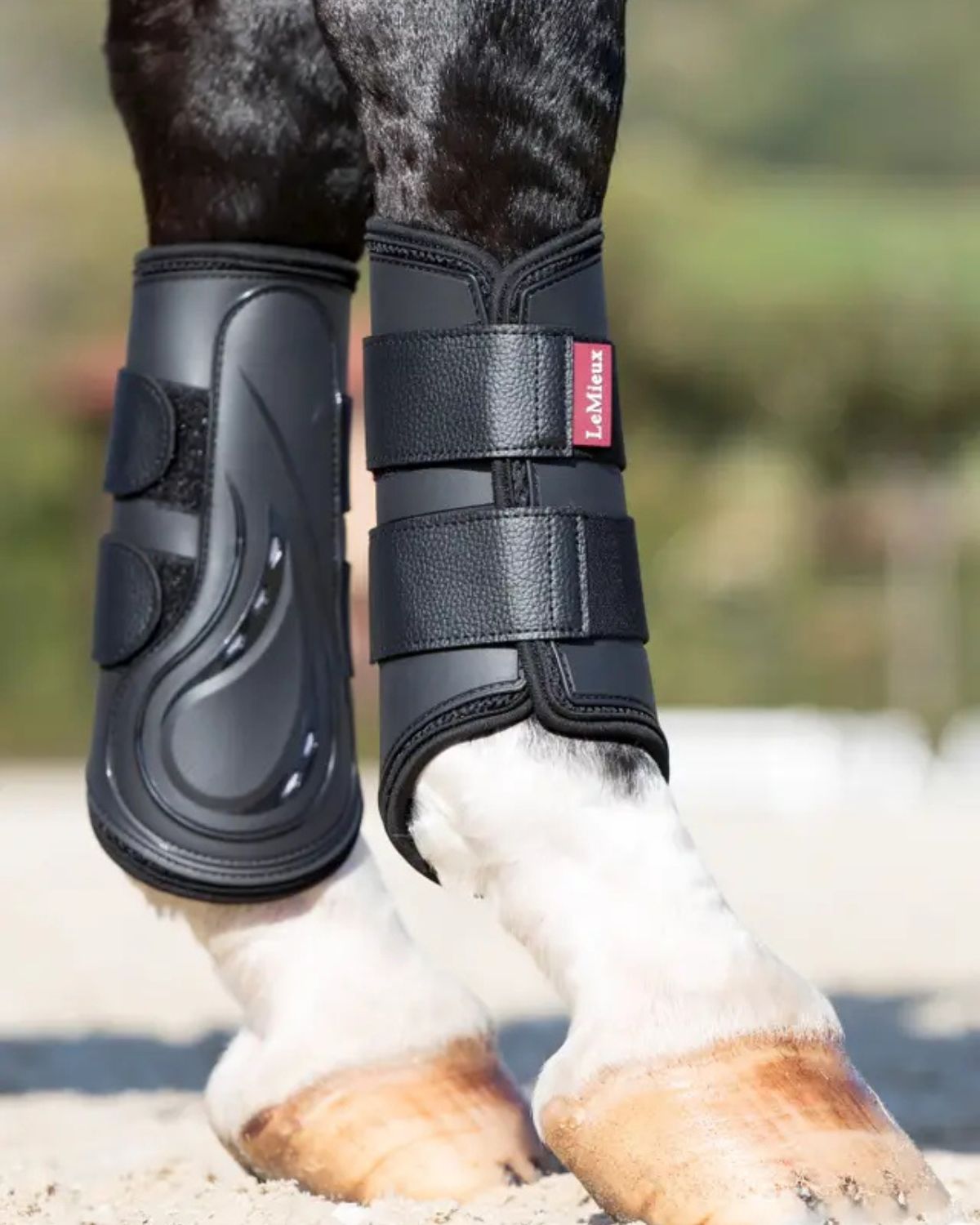 LeMieux ProShell Brushing Boots Black - Horse Leg Protection Equestrian Equipment