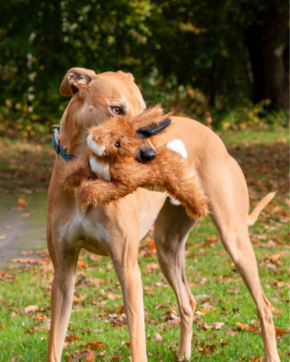 Ancol Heritage Harris Hare Dog Toy