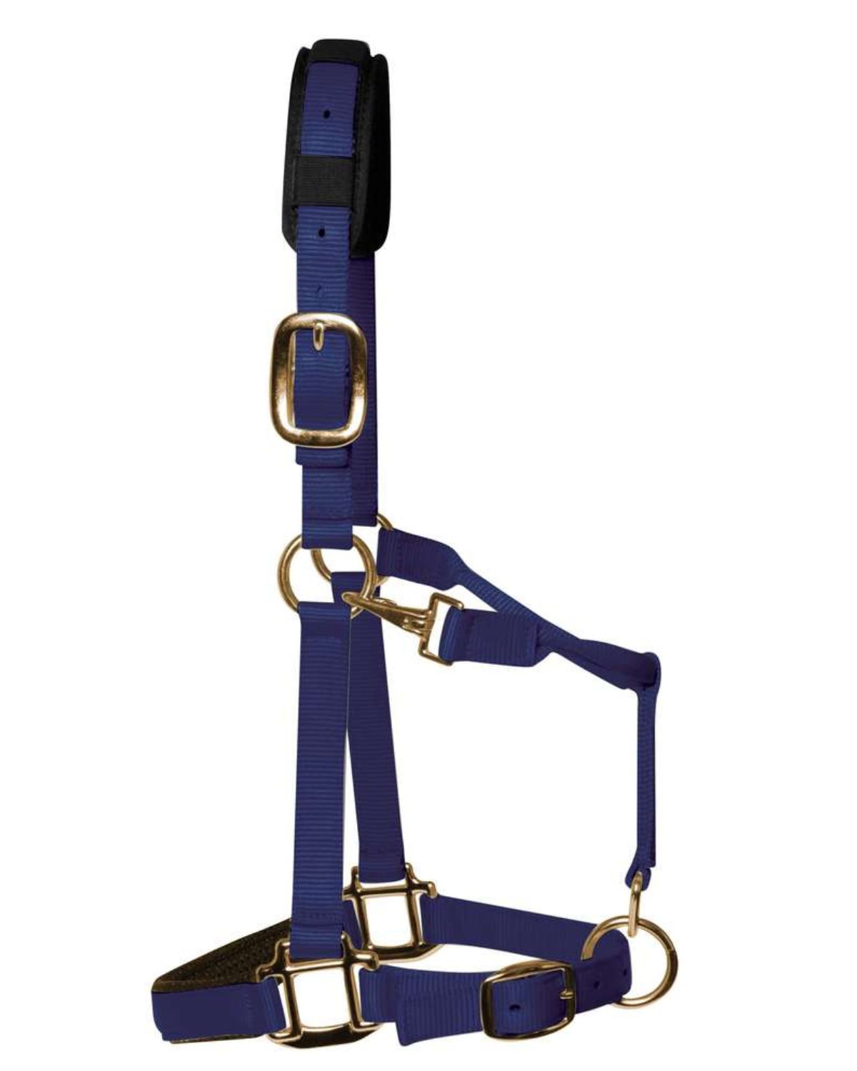 KM Elite Padded Headcollar Navy