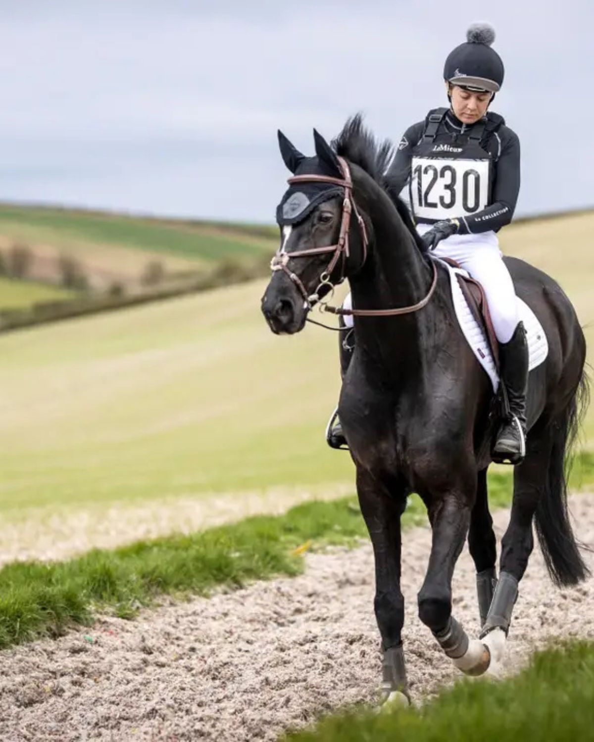 Eventing: Rider on black horse wearing competition number, using LeMieux cooling saddle pad. Equestrian sport, cross-country.