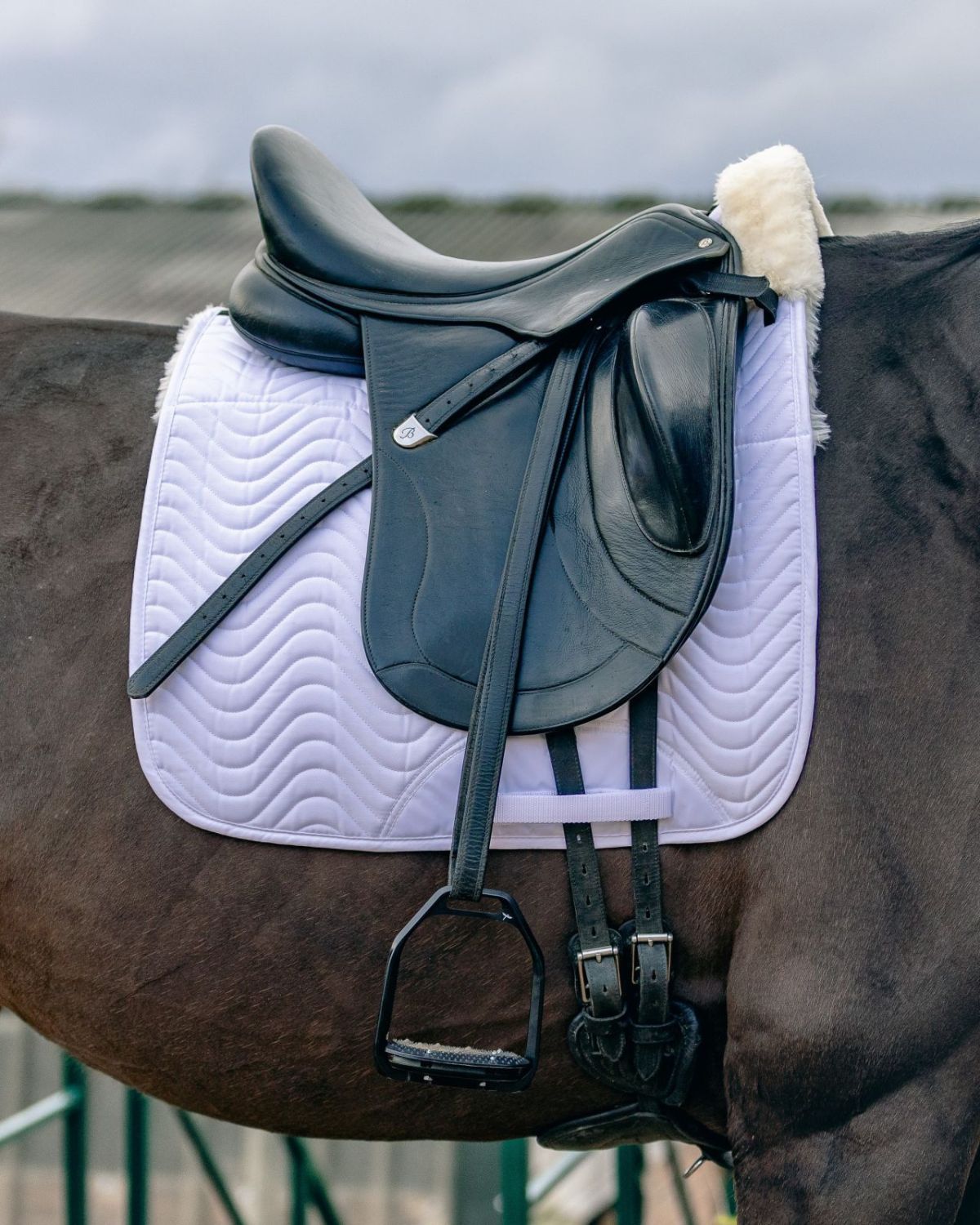 KM Elite Teddy Soft Half Lined Dressage Square Natural